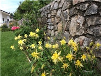 69abac89-20170506 Ri pakujci.jpg